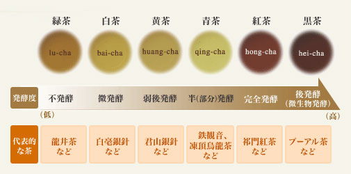 発酵度合いにより整理された中国茶の「六大分類」の表