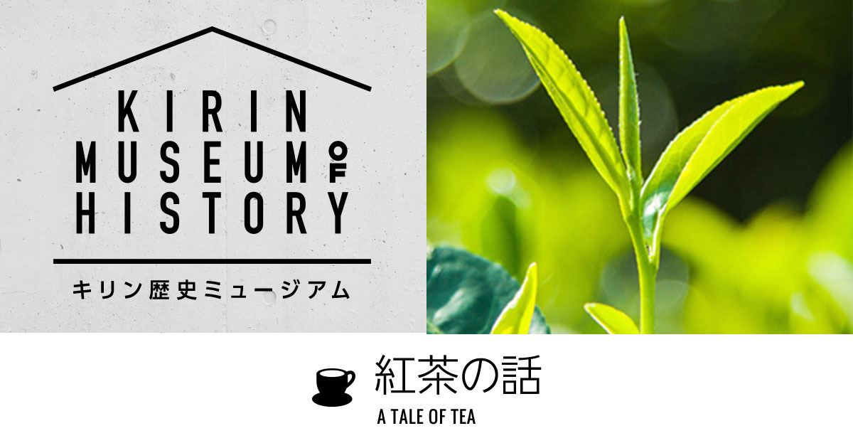 第6話 日本の紅茶史・2 文明開化と茶の輸出｜酒・飲料の歴史｜キリン 